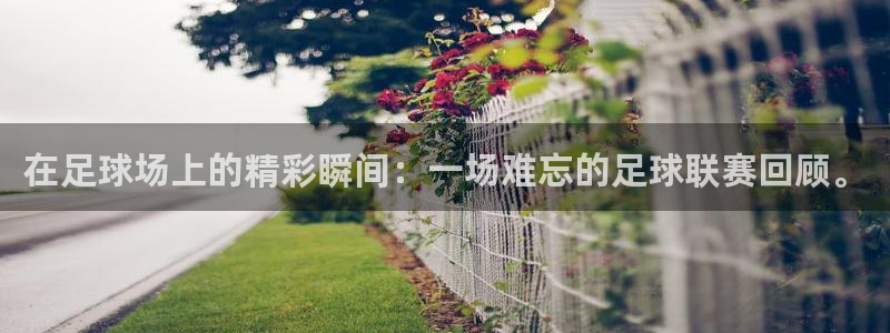 在足球场上的精彩瞬间：一场难忘的足球联赛回顾。